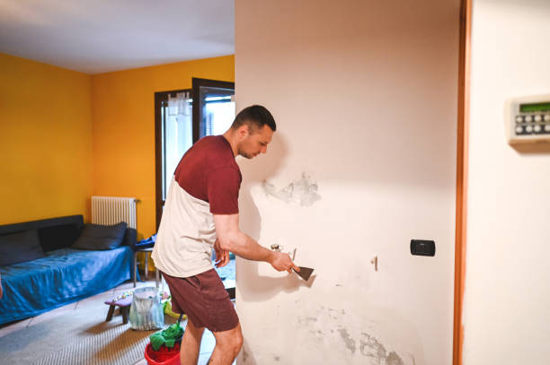 Best Mold Remediation for Schools in Tecumseh, NE